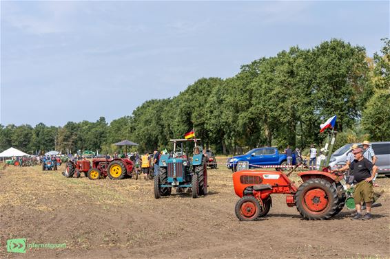Na WK wielrennen nu ook EK Oldtimer Ploegen - Hamont-Achel