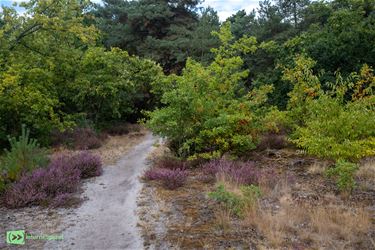 Lommel - Nationaal Park Bosland waarschuwt