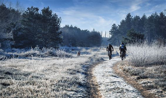 Natuur half februari - Lommel