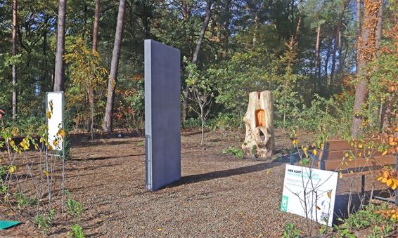 Natuurbegraafplaats op De Roosen - Pelt