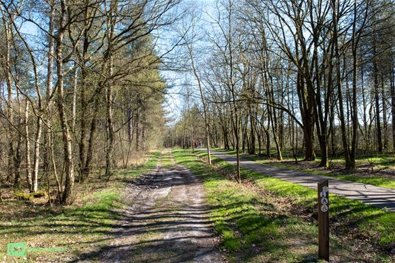 Natuurbrandseizoen in Limburg van start - Oudsbergen