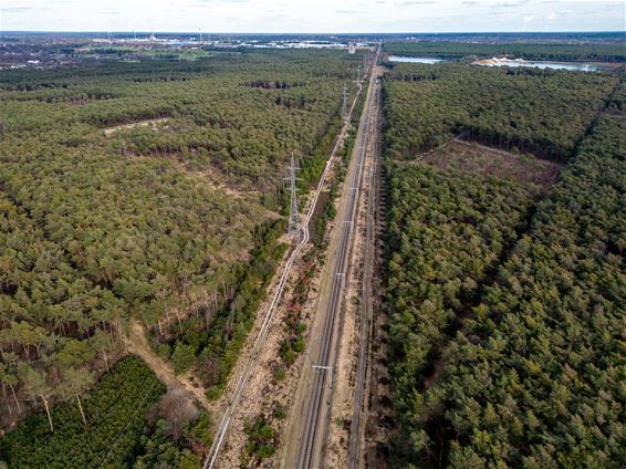 Natuurbrandseizoen in Limburg van start - Lommel