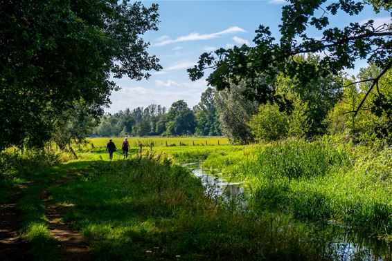 Bree - Natuurbrandseizoen in Limburg van start