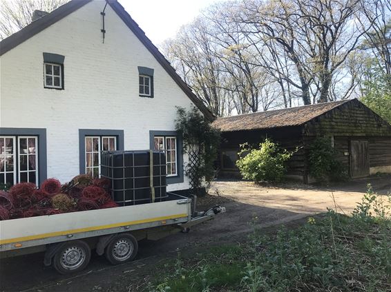 Natuurgebied Hengelhoef wordt opgewaardeerd - Houthalen-Helchteren