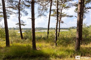 Natuurherstel Malpie met helikopter