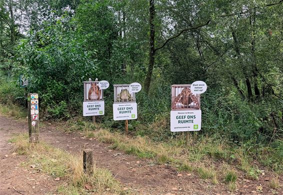 Natuurpunt roept op: “Geef onze natuur de ruimte' - Pelt