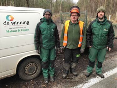 Natuurwerken blijven bij De Winning - Beringen