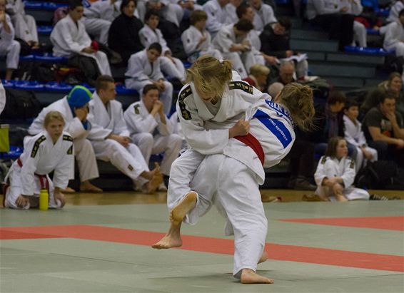 Neerpeltenaren op SVS-judokampioenschap - Neerpelt
