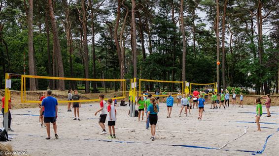 Netballen in het zand - Lommel