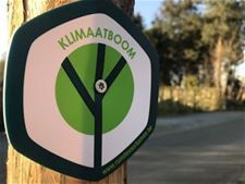 Nieuw provinciaal klimaatbomenproject