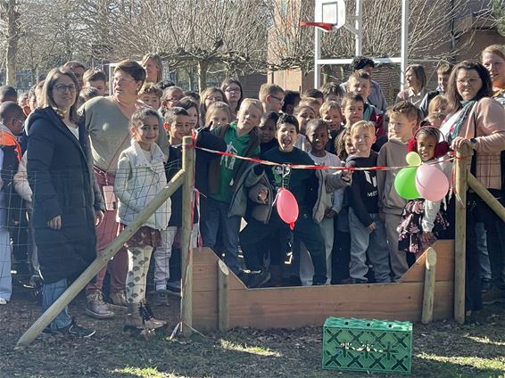 Nieuwe bouwblokken in De Robbert dankzij ouderraad - Hamont-Achel