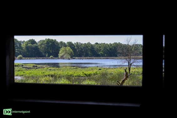 Nieuwe kijkhut als blik op Natuurpark Zwarte Beek - Hechtel-Eksel