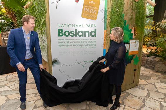 Nieuwe Nationaal Park Bosland Cabana - Lommel