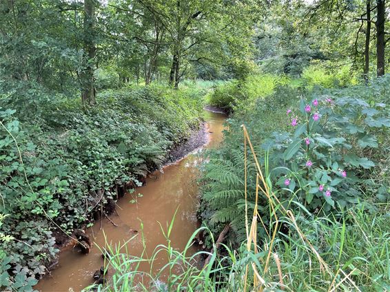 Nieuwe opleiding natuurgids - Beringen