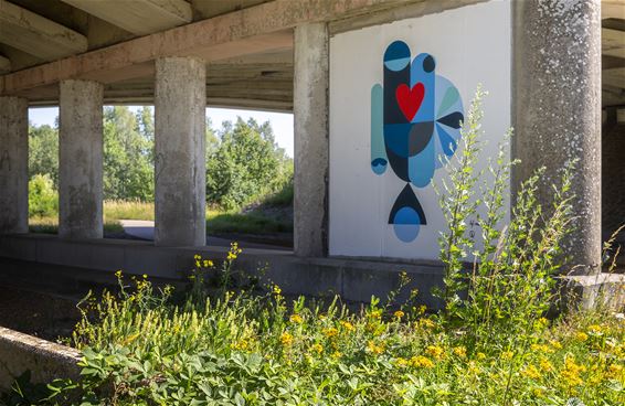 Nieuwe schildering brug Stevensvennen - Lommel