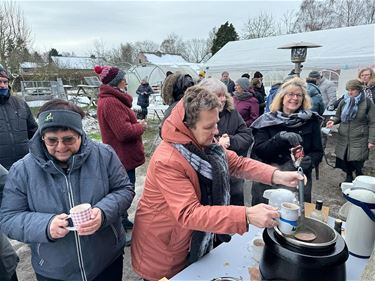 Nieuwjaarsdrink in buurt (kleine) Balenhoek - Hamont-Achel