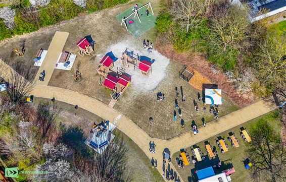 Nieuwsgierigheid in de Boekweitstraat - Oudsbergen