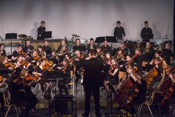Noord-Limburgs symfonisch orkest schittert - Neerpelt