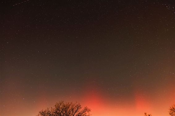 Noorderlicht boven de Benelux - Pelt