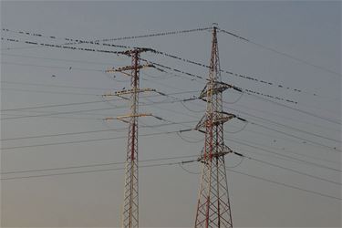 Nu ook afschakelplan elektriciteit in Paal - Beringen