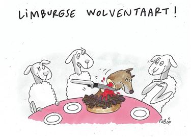Nu ook wolventaart in Limburg