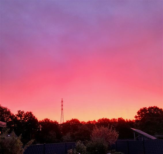 Ochtendrood, water in de sloot - Pelt