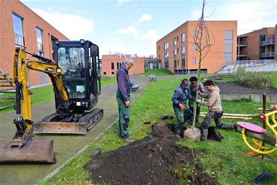 Ocura krijgt therapeutische tuin - Beringen