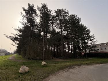 Oefeningen brandweer aan Finse piste - Beringen