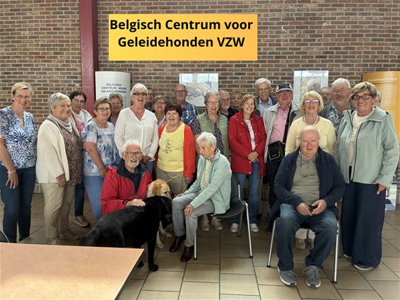 Okra Koersel trok naar Tongeren - Beringen