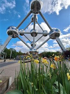 Lommel - Okra op bezoek in Brussel