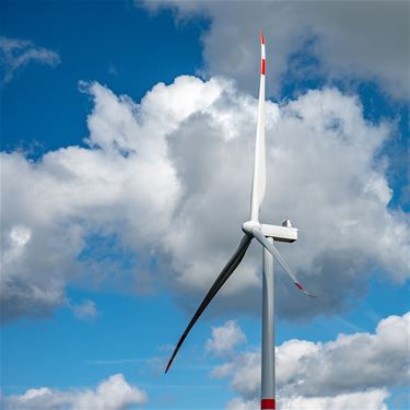 Omgevingsvergunning windmolens geweigerd - Hamont-Achel