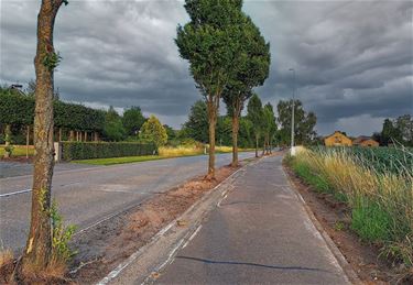 Omleiding voor fietsers richting Kleine-Brogel - Pelt