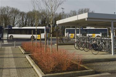 Onderhoud aan fietsstallingen stations - Beringen