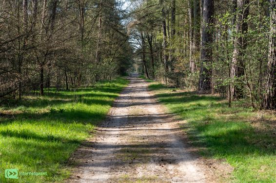 Onderhoud brandgangen Beverbeekse Heide van start
