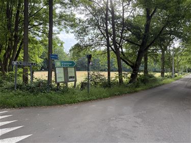 Onderhoudswerken fietsroutenetwerk - Beringen