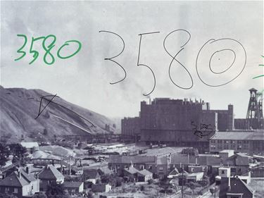 Onderzoek naar segregatie in Beringen - Beringen