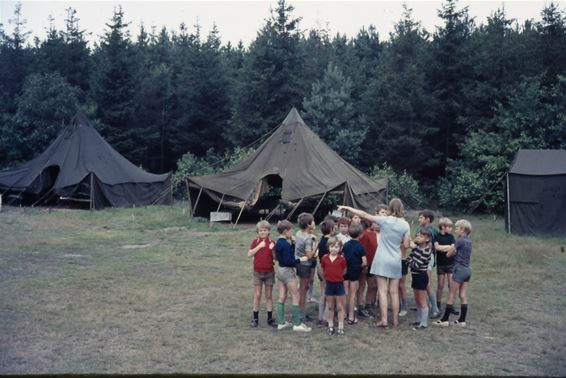 Online feest 50 jaar Scouts en Gidsen Tervant - Beringen