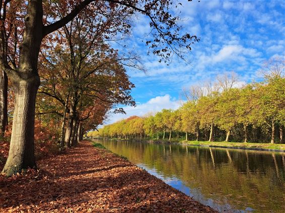 'Ons' kanaal in de herfst - Pelt