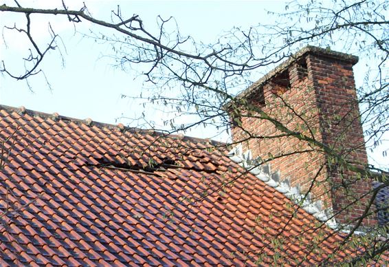 Ontwortelde bomen en weggeblazen dakpannen - Houthalen-Helchteren