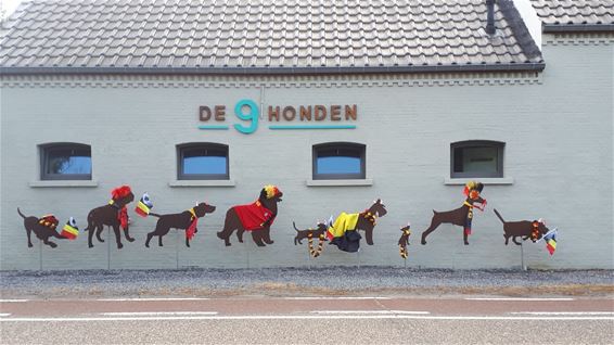 Ook de honden supporteren mee - Lommel