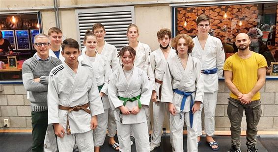 Ook Lommelse judoclub behaalde knappe resultaten - Lommel