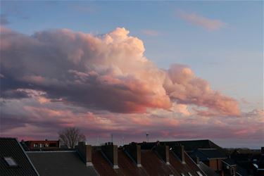 Op een roze wolk - Beringen & Leopoldsburg