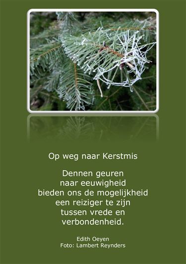Beringen - Op weg naar kerstmis