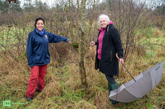 Op zoek naar 'houtkanthelden' - Peer & Bocholt