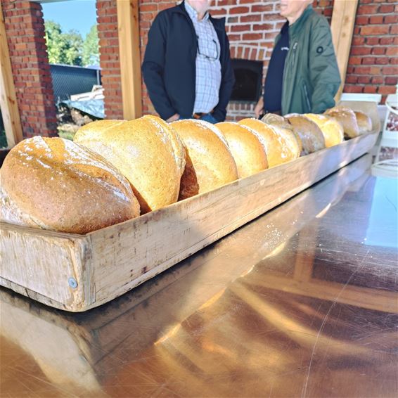Bocholt - Open bakdag met masteluinbrood