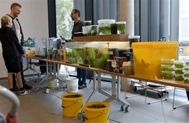 Open House bij Aquariumclub Zilverhaai - Beringen