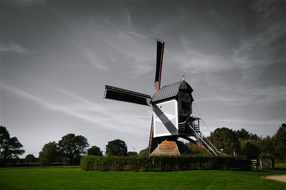 Open Molen-zondag - Lommel