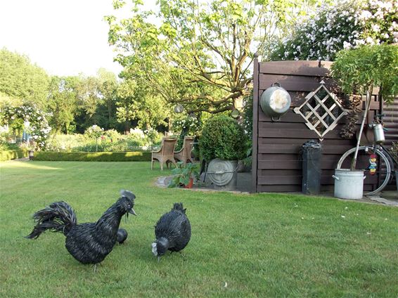 Bree - Open tuin bij de familie Swinnen-Peeters