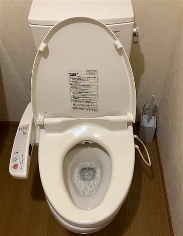 Pelt - Openbaar vervoer in Japan