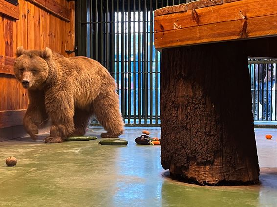 Opendeur Natuurhulpcentrum: kom vroeg of laat